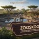 Zooskooñ
