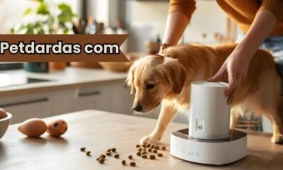Petdardas com: Your Ultimate Guide to Pet Care and Adoption